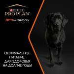 Pro Plan Adult Large Robust корм для собак Крупных пород (Курица)